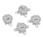 �������ƺ�